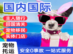 厦门机场邮寄国际宠物托运 【国